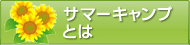 サマーキャンプとは