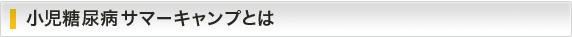小児糖尿病サマーキャンプとは