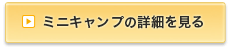 ミニキャンプの詳細を見る