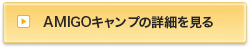 AMIGOキャンプの詳細を見る