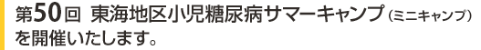第50回　東海地区小児糖尿病サマーキャンプ（ミニキャンプ）を開催いたします。
