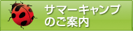 サマーキャンプのご案内