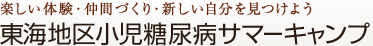 東海地区小児糖尿病サマーキャンプ