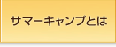 サマーキャンプとは