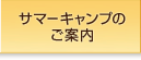 サマーキャンプのご案内