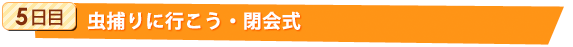 5日目：虫捕りに行こう・閉会式